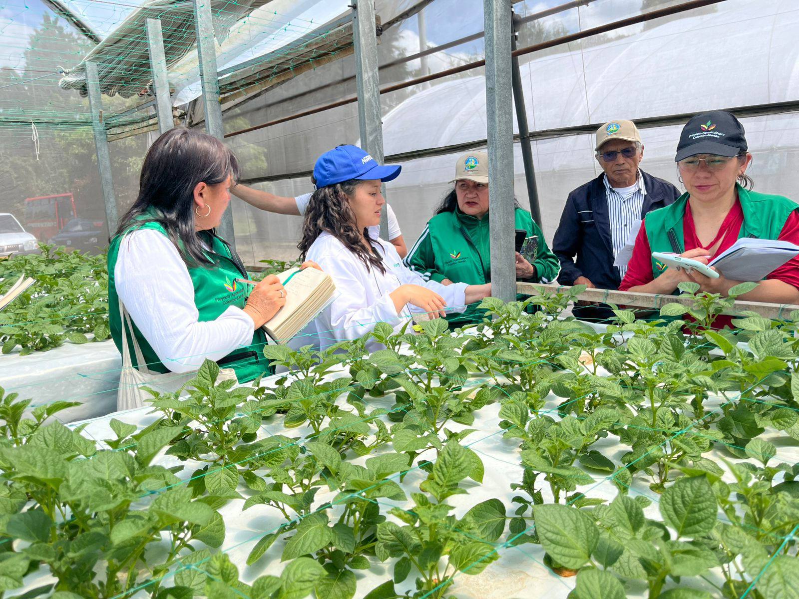 Visita a invernadero