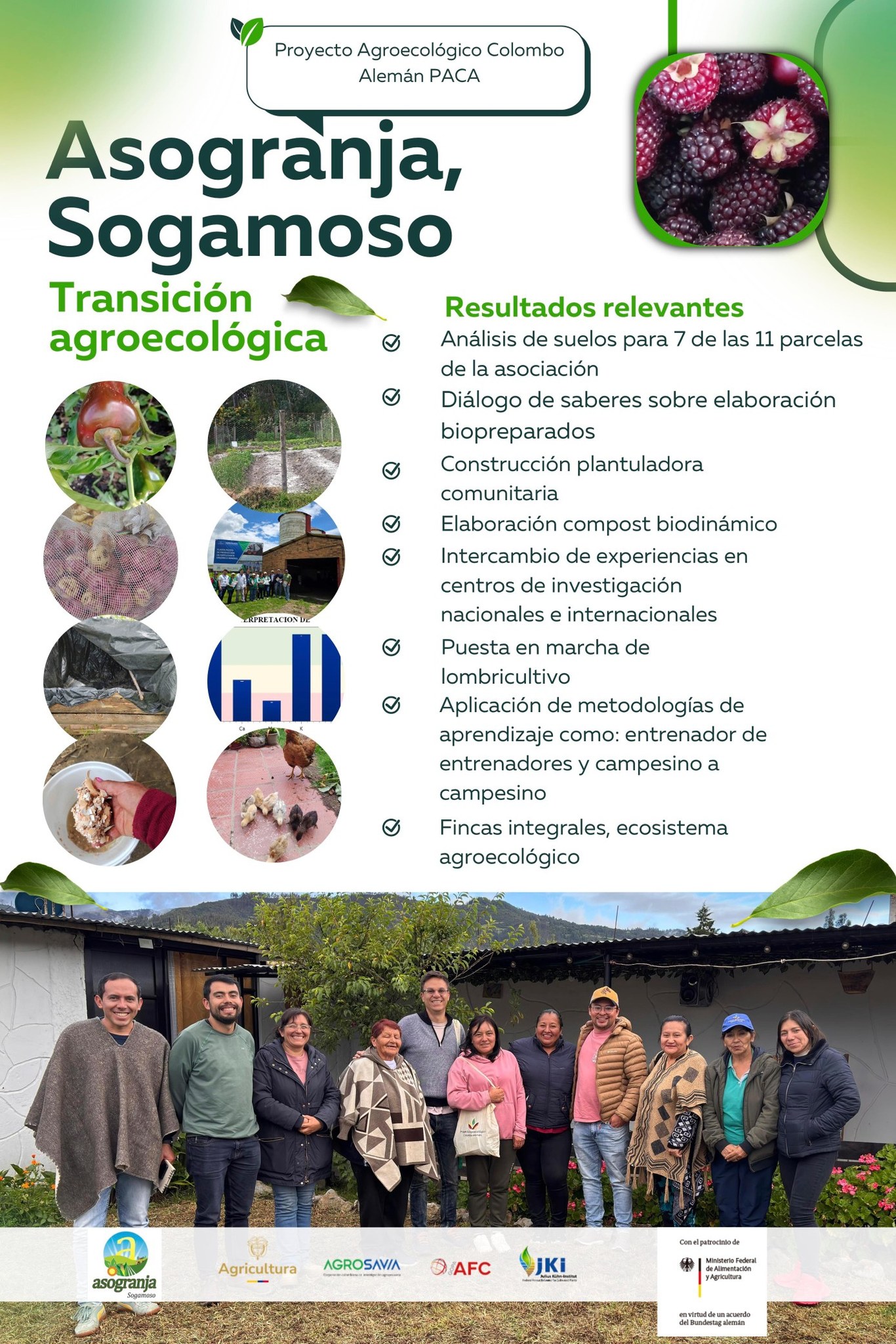 Infografía proyecto PACA