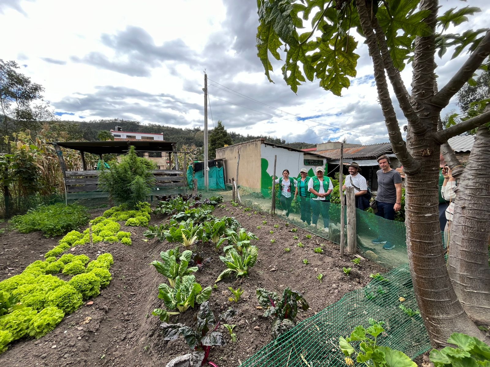 Huerta orgánica con cultivos diversificados