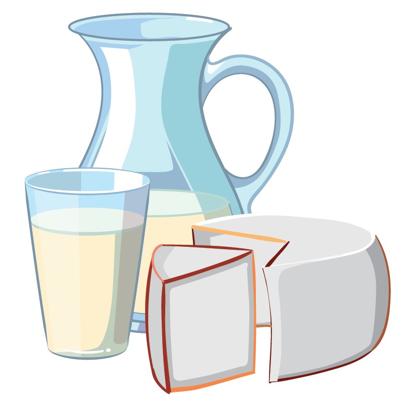 Productos lácteos artesanales