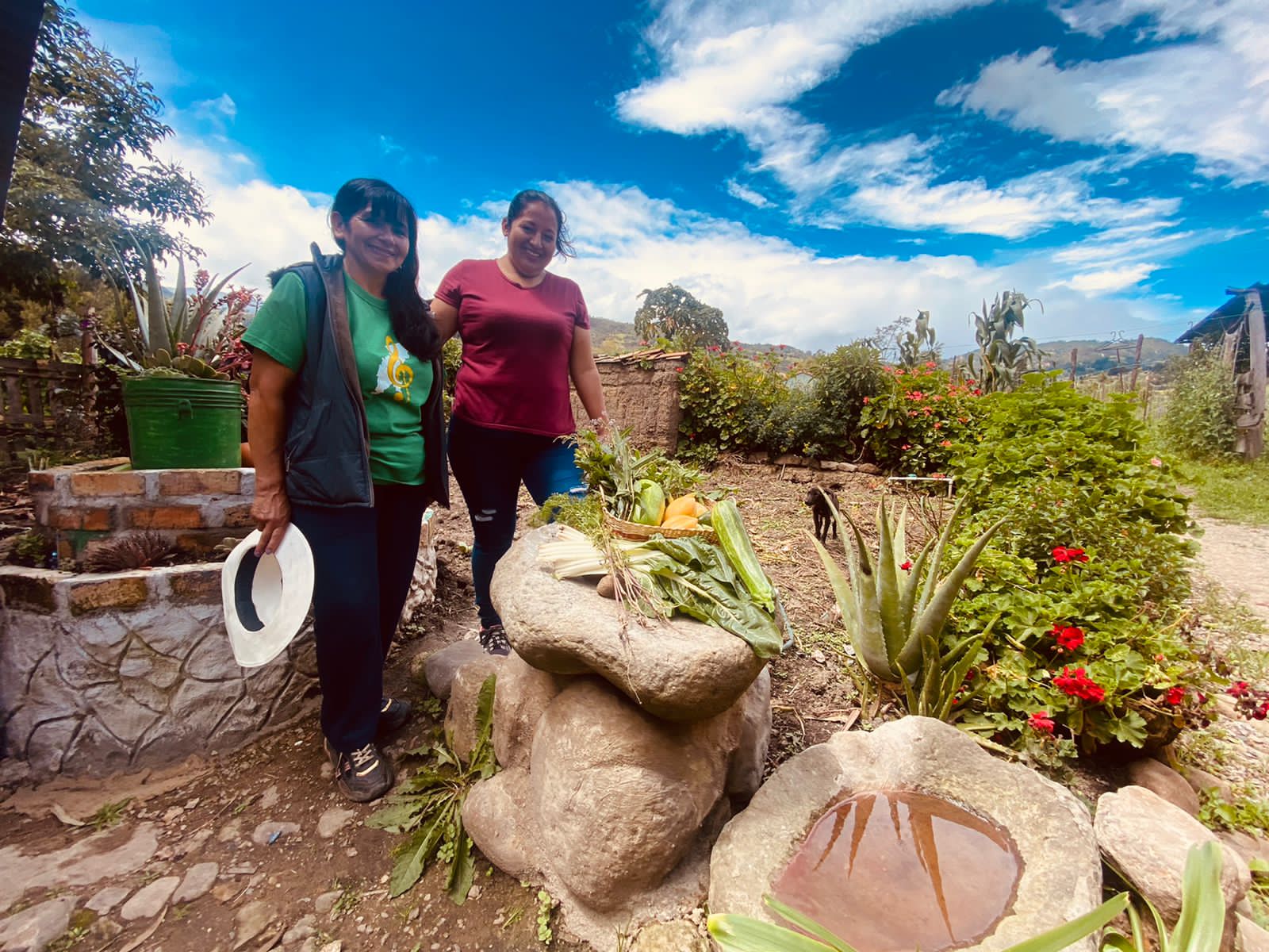 Hortalizas Orgánicas